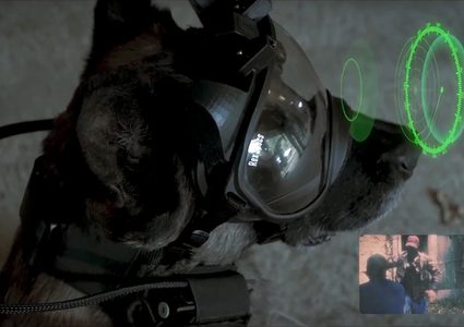 فرنسا تزود كلاب الشرطة بنظارات خاصة!