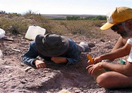 ظهور نوع جديد من الديناصورات العملاقة في الأرجنتين