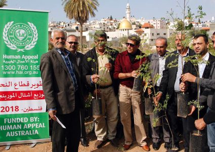 إطلاق الحملة الوطنية لزراعة أشتال المورينجا