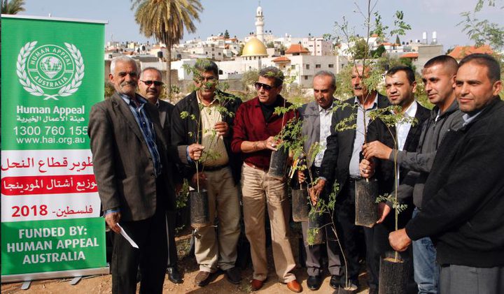 إطلاق الحملة الوطنية لزراعة أشتال المورينجا