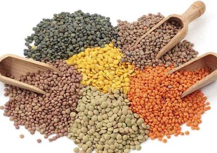 خمسة فوائد صحية للعدس لجسم الإنسان