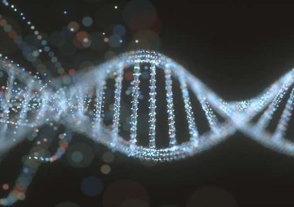 دراسة تدحض اعتقادا شائعا حول طول العمر