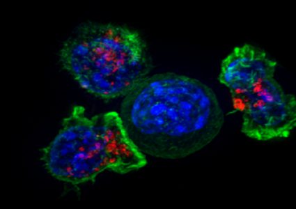 اكتشاف علاج لسرطان نادر