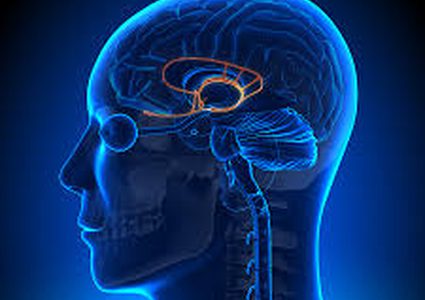 فحص للدماغ لتشخيص الاكتئاب واضطرابات المزاج