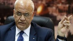 عريقات يطالب بتوفير الحماية الدولية لشعبنا