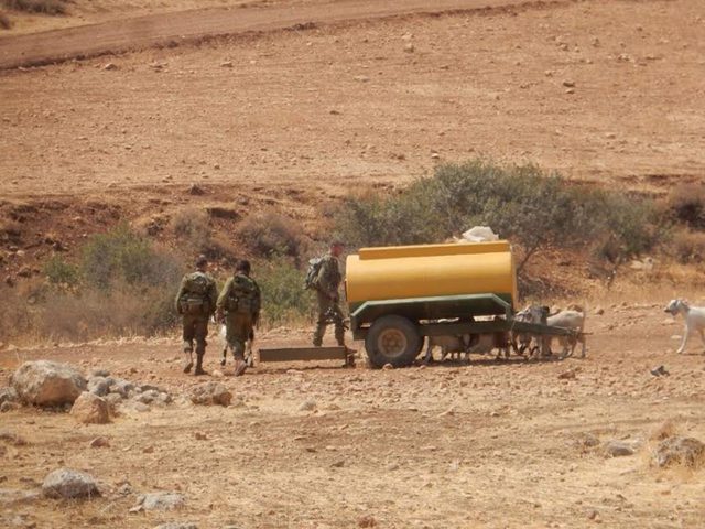 الاحتلال يمنع رعي الاغنام في الأغوار الشمالية