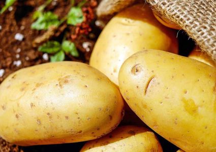 المشكلة ليست في البطاطس.. إنها في طرق التحضير