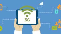 هل تؤثر شبكة 5G الطيور؟
