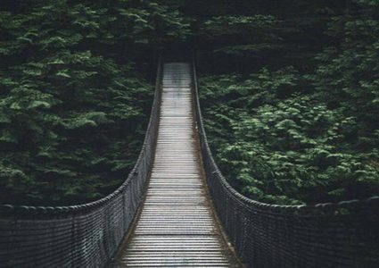 أغرب "حيلة" لعبور جسر