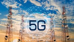 هل تسبب تفعيل شبكة 5G في نفوق مئات الطيور؟