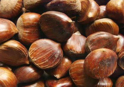 فائدة الكستناء للصحة