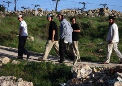 مستوطنون يلحقون أضرارا بمتنزه قيد الإنشاء