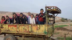 كارثة كادت تودي بحياة (20) طفلا في الأغوار