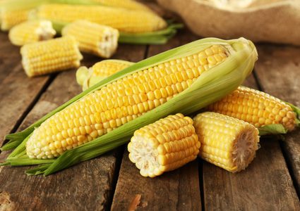 ماذا تعرف عن فوائد الذرة ؟