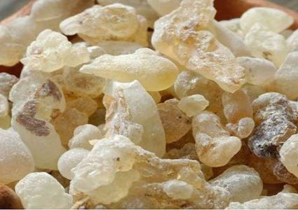 اللبان قد يصبح علاجا رئيسيا لالتهاب المفاصل