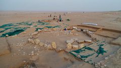 اكتشاف بالكويت قد يغير طريقة تفكيرنا في الحضارة