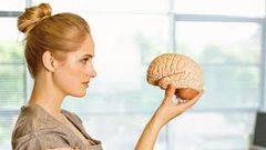 5 فروقات في تحليل دماغ المرأة والرجل