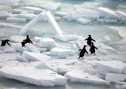 اكتشاف يغير نظرة العلماء عن حرارة القطب الجنوبي