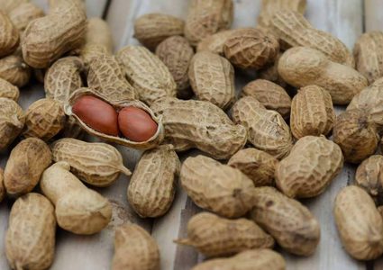 علاج جديد للتغلب على حساسية الفول السوداني