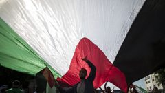 اليوم العالمى للتضامن مع شعب فلسطين