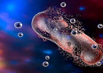 هل يكمن ينبوع الشباب في المضادات الحيوية؟