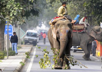 الهند هي "بلد العجائب" الأولى في العالم