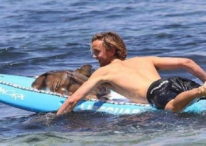 أغرب عملية إنقاذ قرش مفترس! (فيديو)