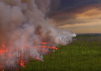 حفل عائلي تسبب بحرق 470 كيلومترا مربعا!