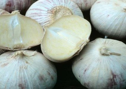 ما الضرر الذي يسببه الثوم للجسم؟