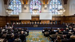 العدل الدولية تنظر بشكوى قدمتها فلسطين ضد أمريكا