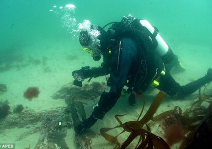 قطع خشبية نادرة في حطام سفينة غرقت منذ أكثر من 300