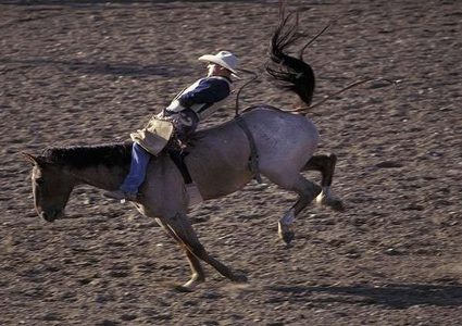رفسة حصان تنقذ فارسا من الموت!