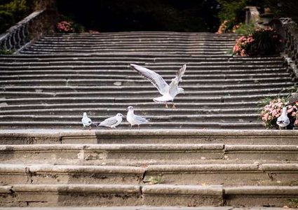 علماء يكشفون مفتاح تجنب الوفاة المبكرة!