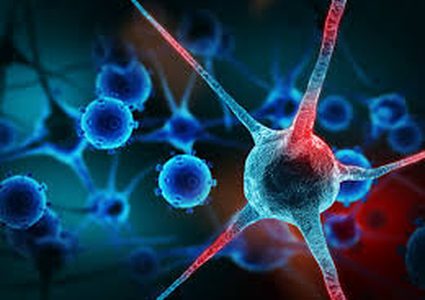 الفائزان بنوبل الطب يوضحان مستقبل علاج السرطان