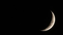 المفتي: يوم غد السبت غُرّة شهر ربيع الآخر