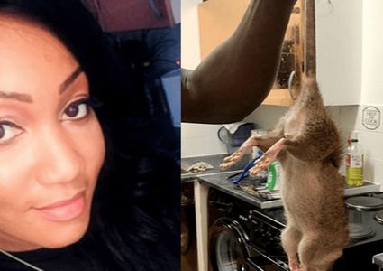 فئران"ضخمة" تستغل اعاقة شابة وتحول حياتها إلى جحيم