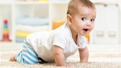 تحذير للحوامل من مبيدات تسبب إعاقة ذهنية للأطفال