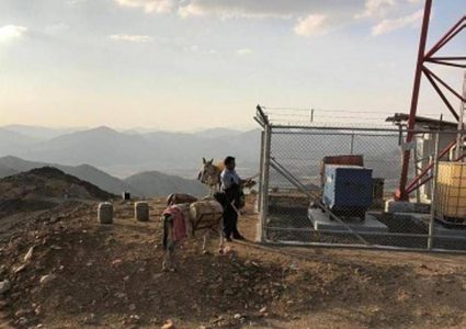 شركة اتصالات سعودية تستعين بالحمير لتشغيل برجها!