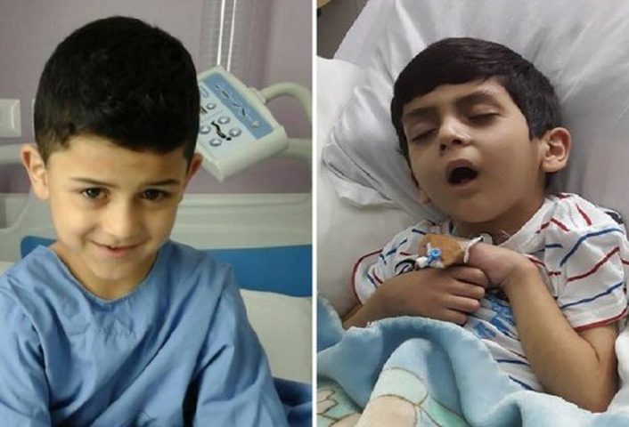 حماية أمير..حماية للوطن.. دنيا عيسى