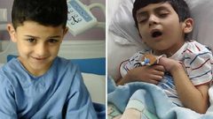 حماية أمير..حماية للوطن.. دنيا عيسى