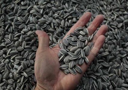 صغيرة لكن فوائدها كبيرة.. 6 بذور لا غنى عنها