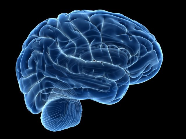كيف تؤثر الأجهزة الذكية على أدمغة الأطفال
