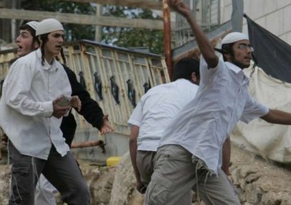 "محدث" مستوطنون يهاجمون قرية عصيرة القبلية جنوب نابلس