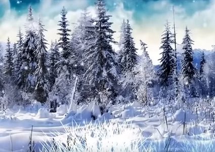 التغير المناخي يقلص فصل الشتاء لحساب الصيف