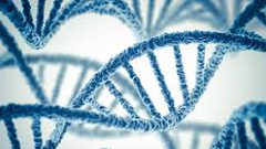 هل يستطيع علم تعديل الجينيات التخلص من مرض السمنة؟