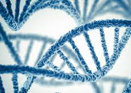 هل يستطيع علم تعديل الجينيات التخلص من مرض السمنة؟