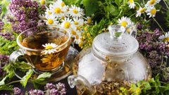 ماهي الأعشاب التي تخفض ضغط الدم؟