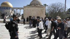 (62) مستوطنًا يقتحمون المسجد الأقصى