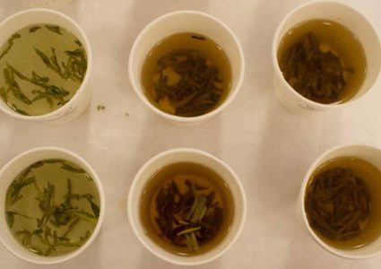 حقيقة الشاي الأخضر.. 8 خصائص "فاصلة"