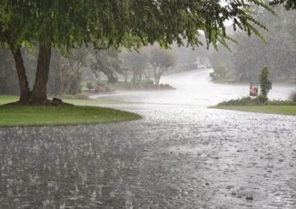 الطقس: أجواء كانونية ماطرة وباردة
